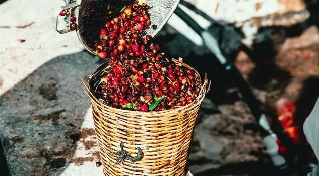 现磨咖啡价格大揭秘！