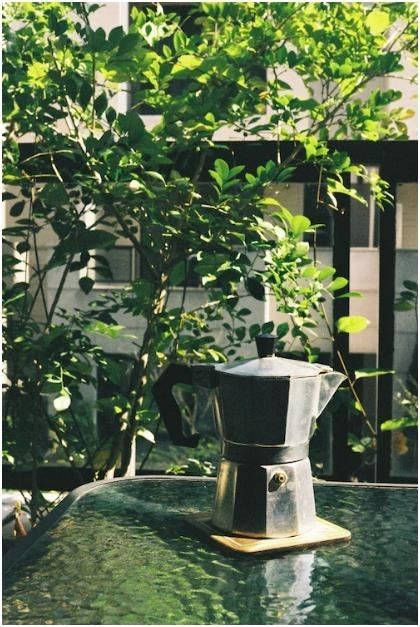 全球最佳咖啡豆品牌排行榜