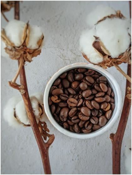 提神必备！喝什么咖啡最好?