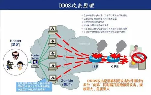 ddos防卫系统_DDoS