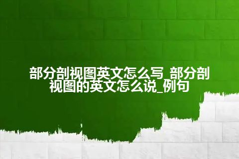 部分剖视图英文怎么写_部分剖视图的英文怎么说_例句