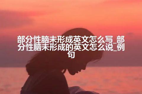 部分性脑未形成英文怎么写_部分性脑未形成的英文怎么说_例句