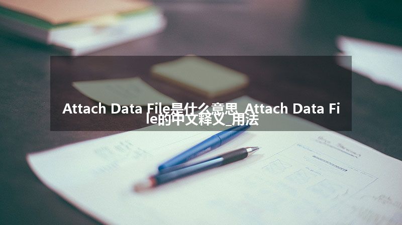Attach Data File是什么意思_Attach Data File的中文释义_用法