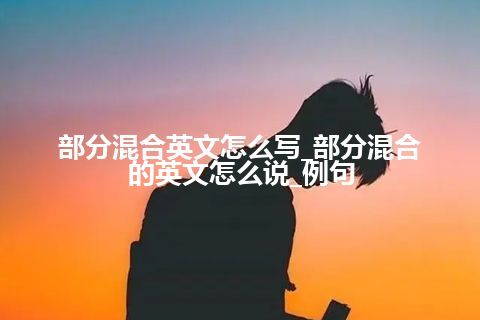 部分混合英文怎么写_部分混合的英文怎么说_例句