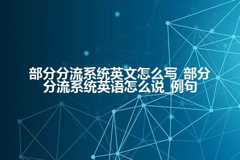 部分分流系统英文怎么写_部分分流系统<a href=https://www.kengniao.com/bk/yybk/ target=_blank class=infotextkey>英语</a>怎么说_例句