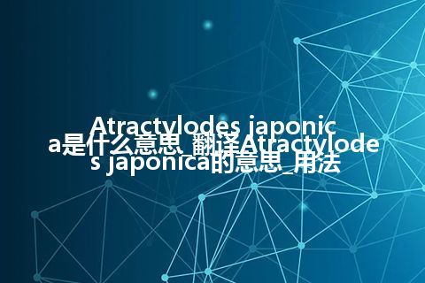 Atractylodes japonica是什么意思_翻译Atractylodes japonica的意思_用法