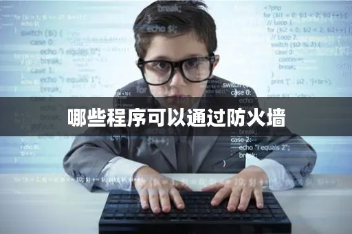 哪些程序可以通过防火墙