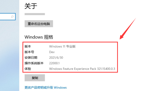 Win11系统如何查看自己的版号?Win11系统查看版号的方法