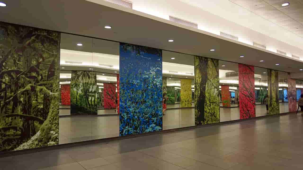 揭秘24小时不打烊的生命绿洲——探索城市中的快速核酸检测医院 揭秘24小时不打烊的生命绿洲——探索城市中的快速核酸检测医院