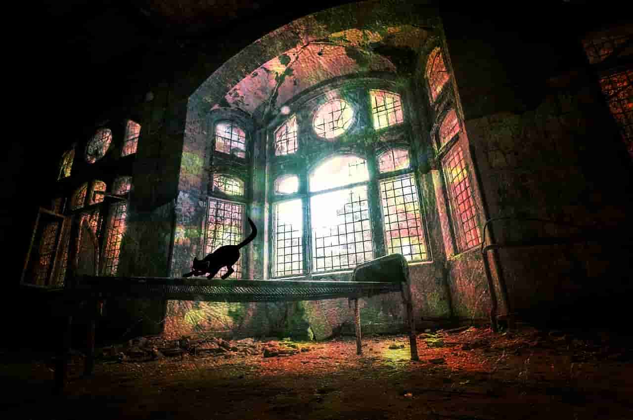 揭秘,神秘的超级巫师之油——一场寻找古老魔法力量的奇异冒险 揭秘,神秘的超级巫师之油——一场寻找古老魔法力量的奇异冒险