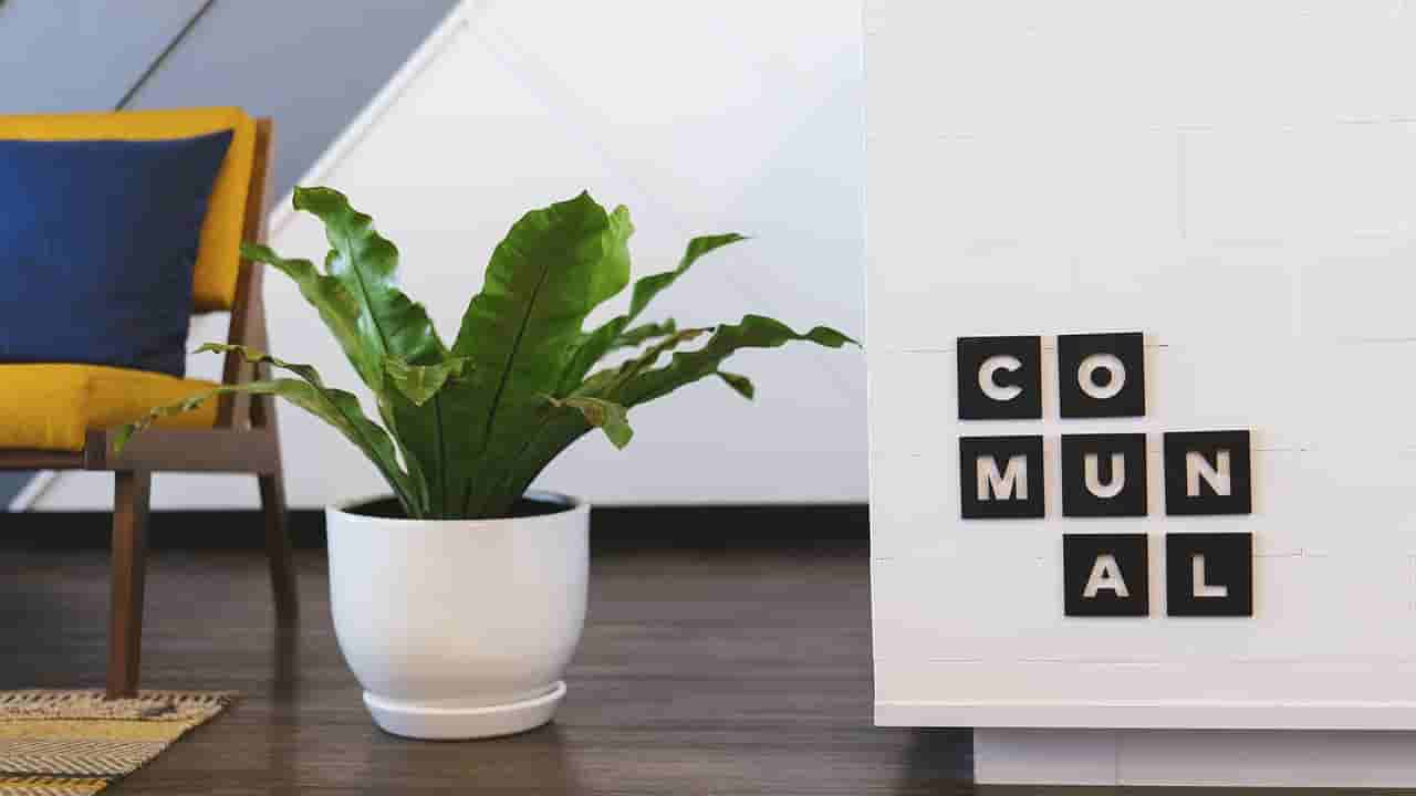 解锁全面体验,深度解析魅蓝Note9,你的生活助手 解锁全面体验,深度解析魅蓝Note9,你的生活助手