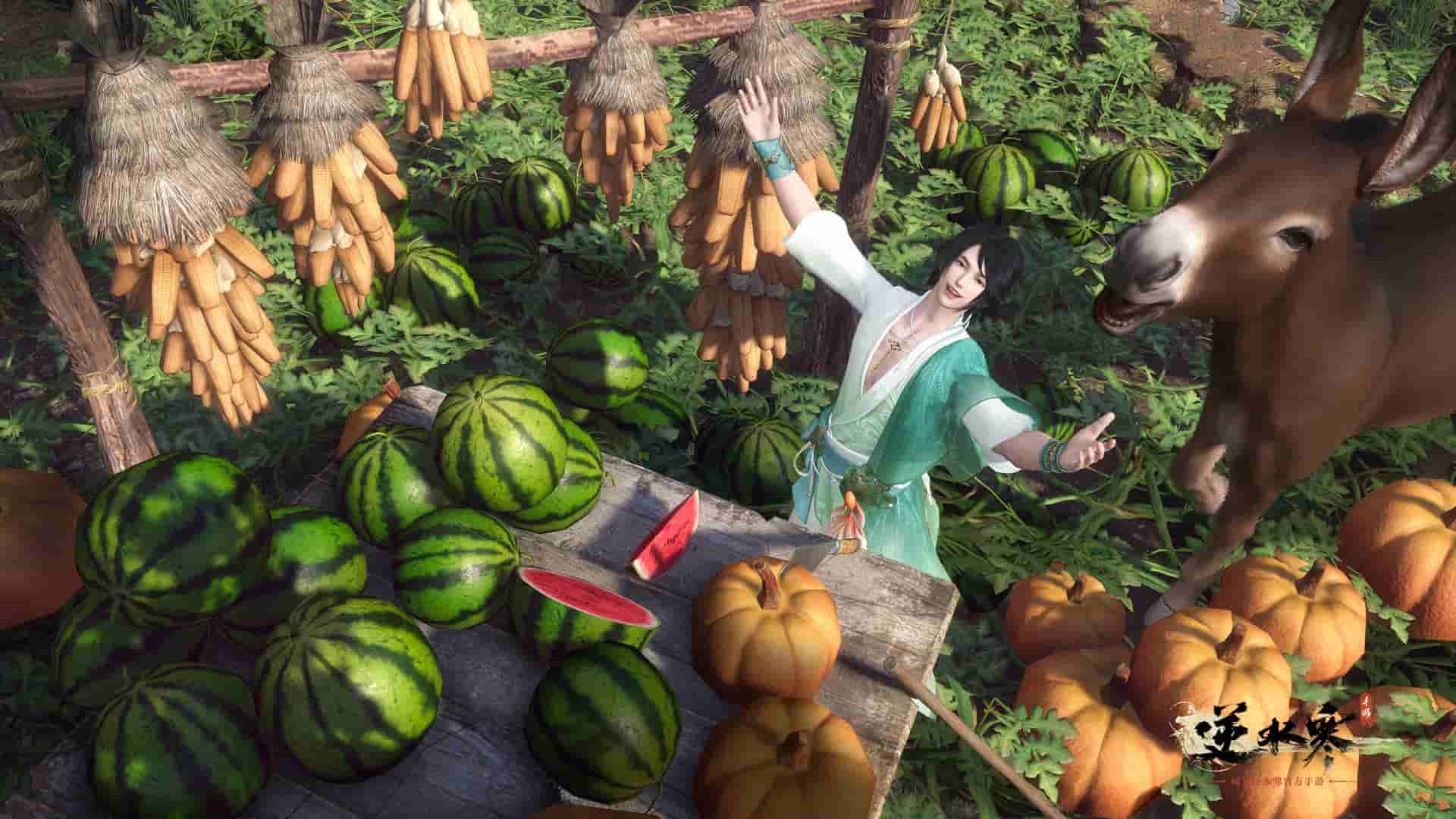 1654076764594460.jpg 图10.jpg