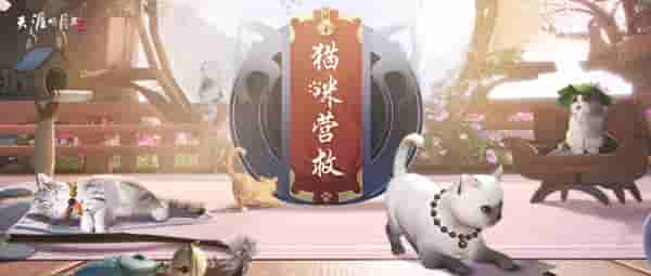 1653361655214699.jpg 9.JPG