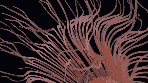 南极冰架崩解后现神秘海底世界，深海