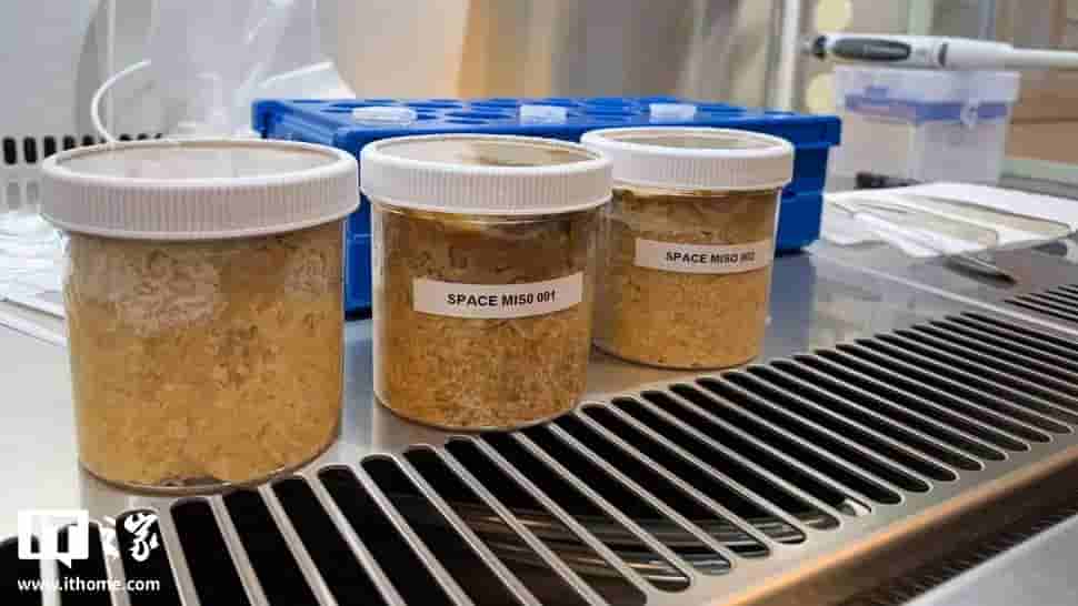 太空味噌诞生！国际空间站首次成功发酵传统日本调味品
