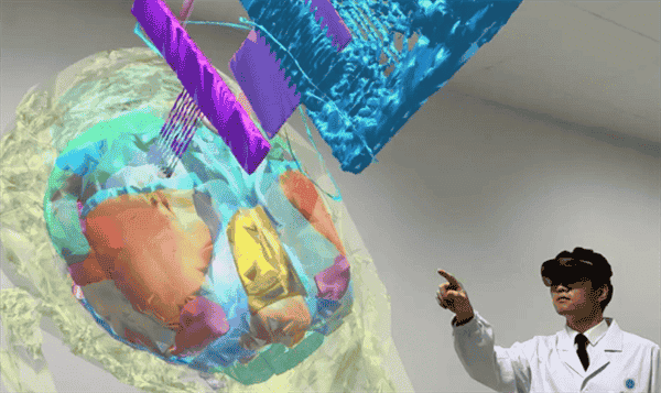 武汉科研团队突破！全球首绘微米级脑