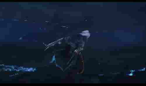 1647482210588744.jpg 图片8.jpg