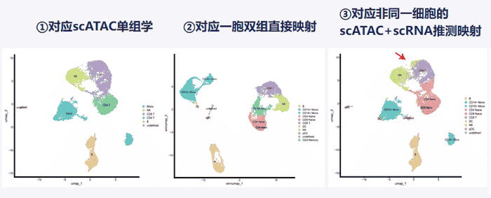 寻因生物发布SeekOne DD，单细胞多组