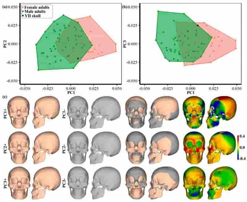 娅怀洞遗址揭秘：1.6万年前古人类面貌得以复原