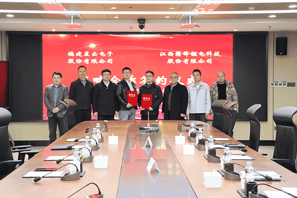 赣锋锂电&星云股份携手,新能源产业将迎来哪些新变革?