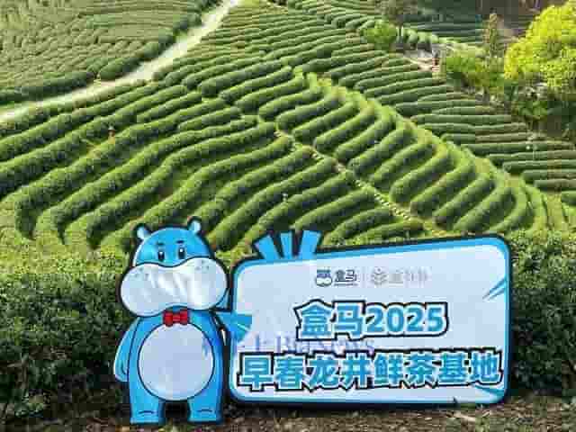 盒补补春茶上新，春季“三件套”集齐，你准备好迎接春天了吗？