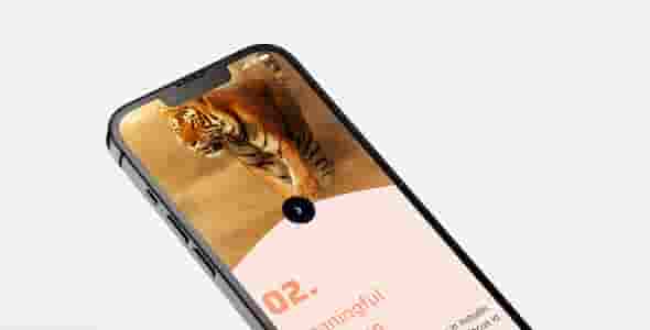 网站设计色彩搭配的冷暖色调运用技巧