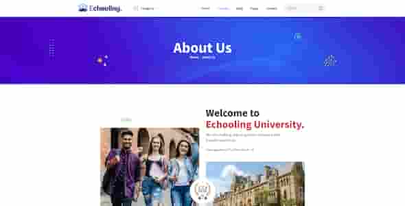 网站设计中的色彩搭配趋势与流行色