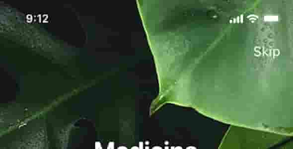 色彩搭配的技巧：如何在网站设计中运用互补色