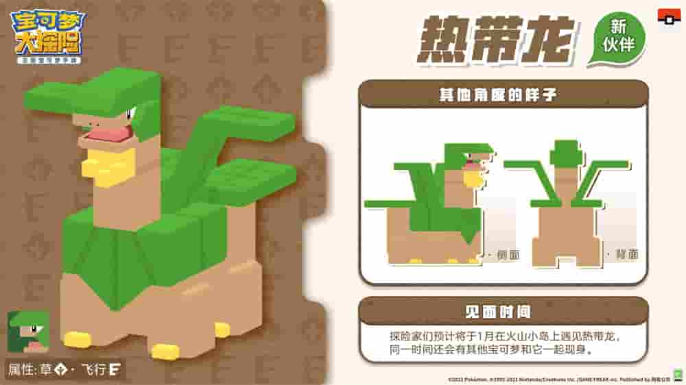 1640667205706356.jpg 图3:热带龙.jpg