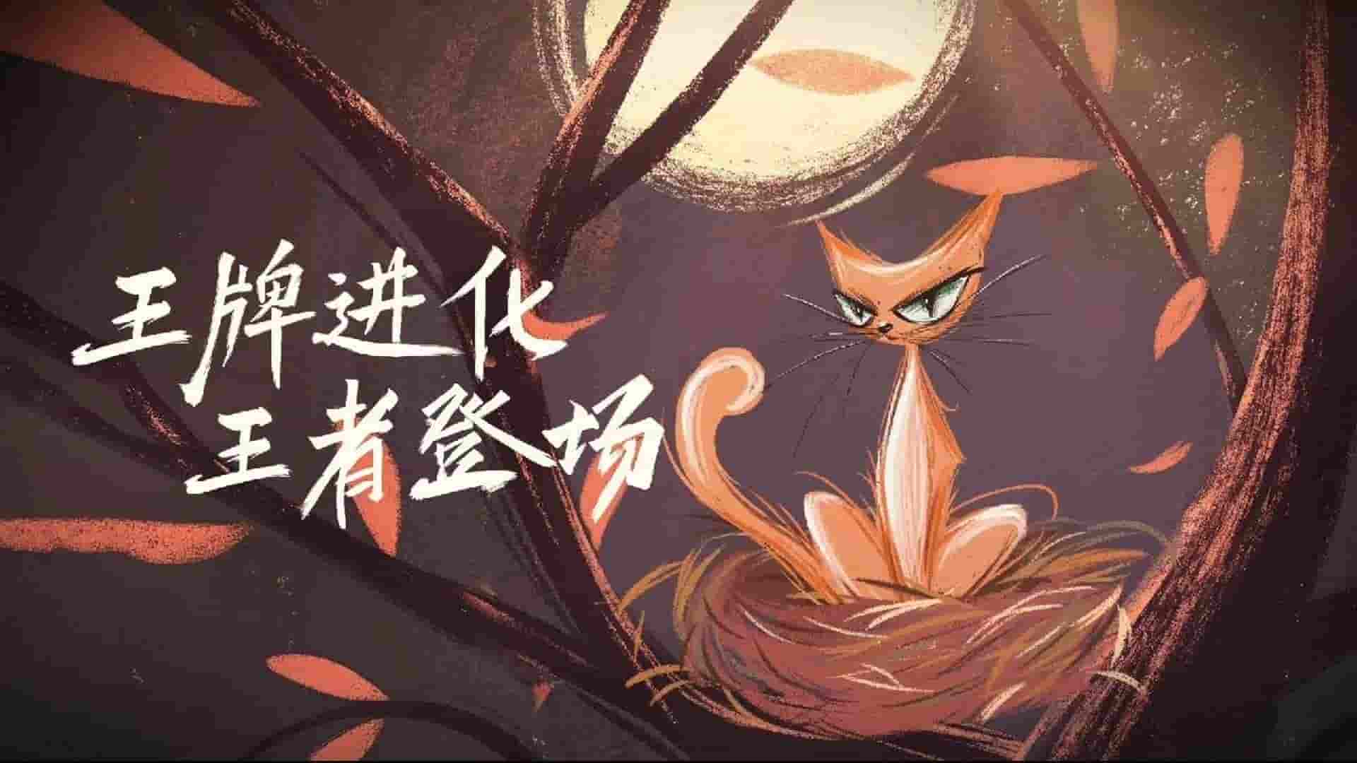 文石Leaf5系列电子书阅读器即将登场，4月1日揭晓神秘面纱？