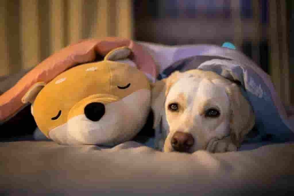 轻创业时代：无厂青年如何借AI与柔性供应链逆袭当老板？