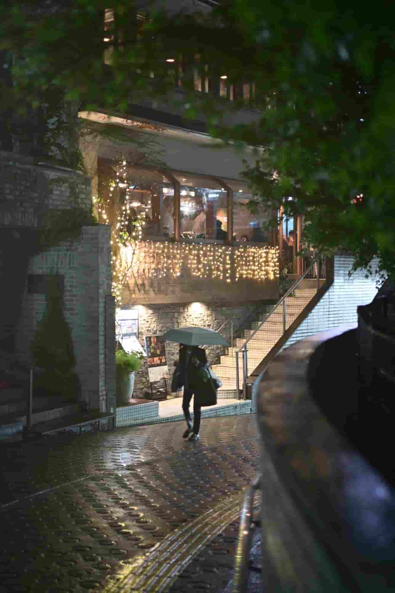 尼康Z50II微单：解锁摄影新境界，色彩