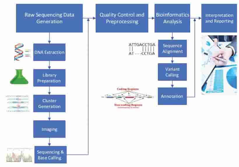 DNA测序新技术隐患重重，个人隐私与科研安全何去何从？