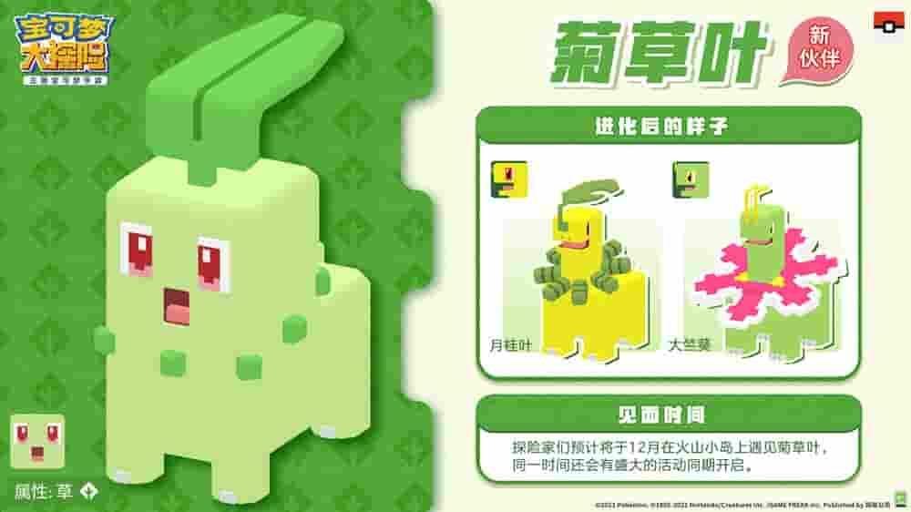 1639622038205468.jpg 图5:菊草叶.jpg