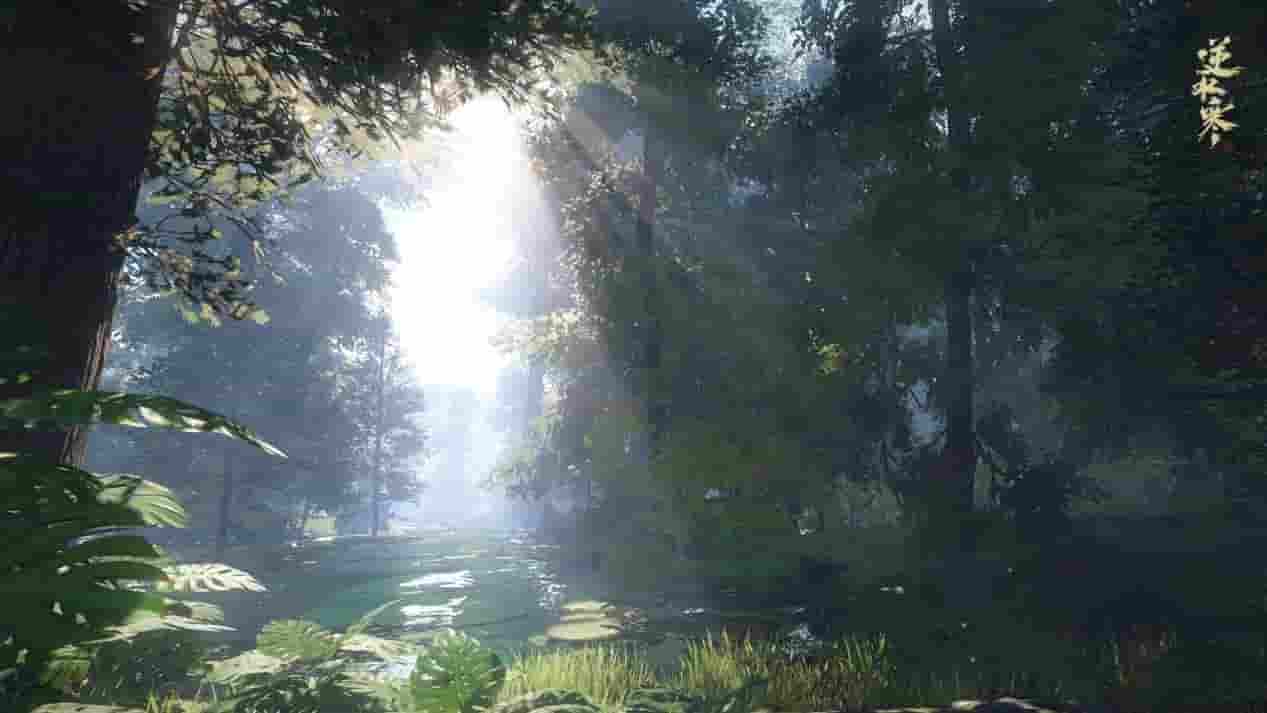 1640314954838696.jpg 8.jpg