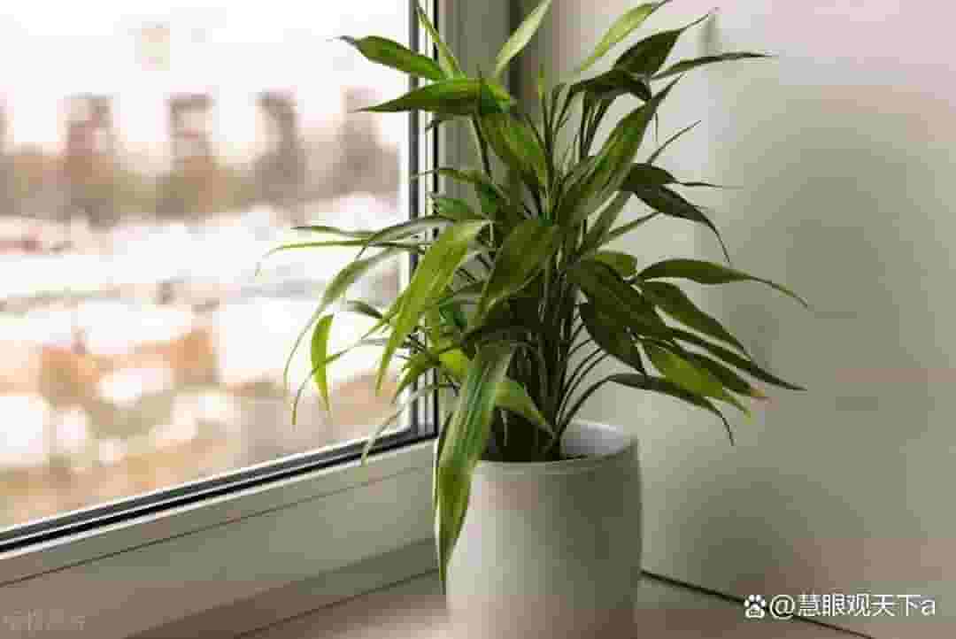 人生路上，这三种聚会你参加了吗？