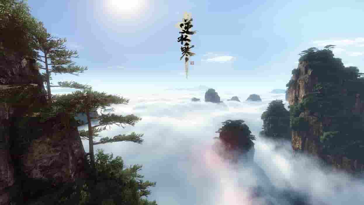 1639622534475980.jpg 10.jpg