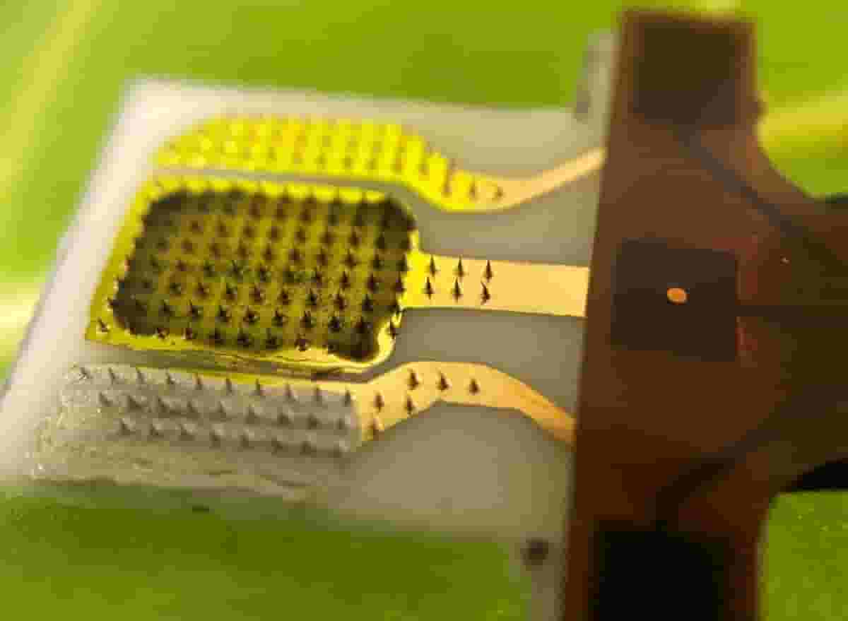 植物“健康卫士”来了！微型传感器实时监测，成本低廉效果佳