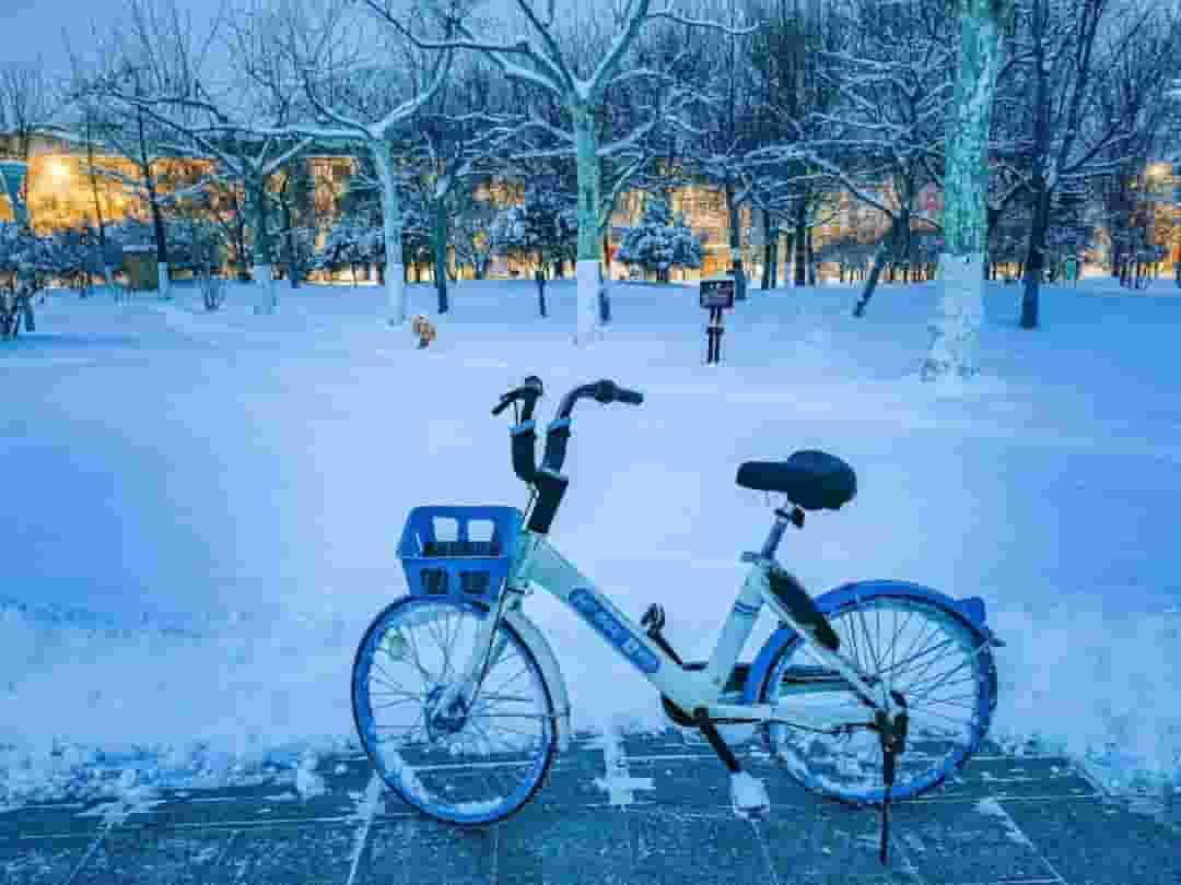 哈啰控股永安行，能否借壳上市？共享单