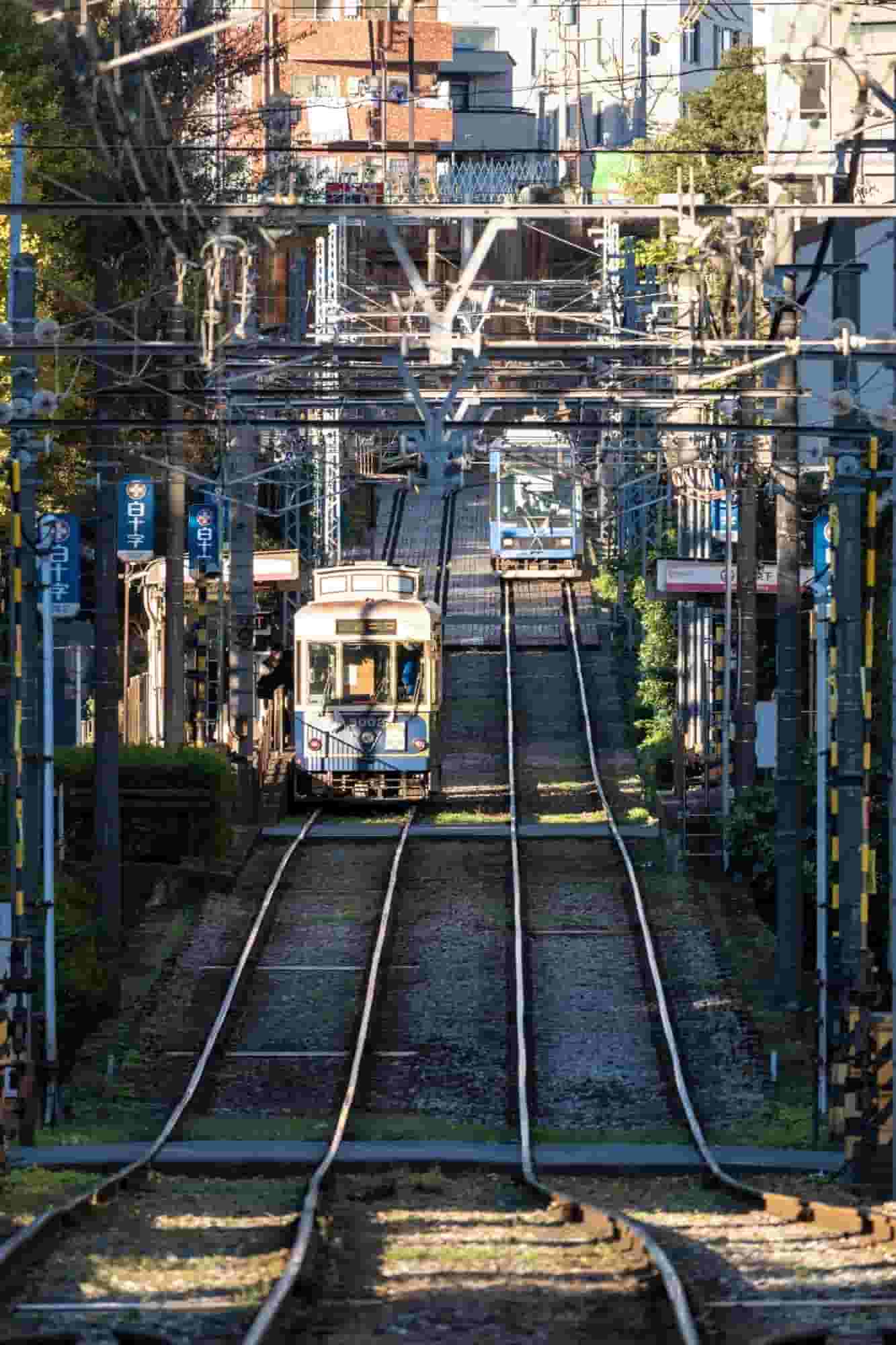 尼康Z50II微单：专业配置，卓越性能，开启摄影创作新篇章