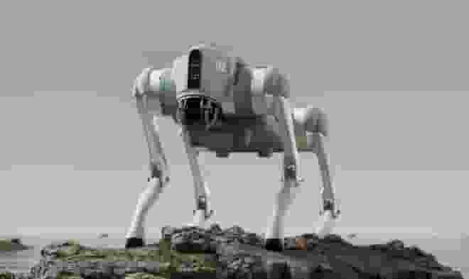 机器人降价至三四千，你会拥抱这份未来科技吗？