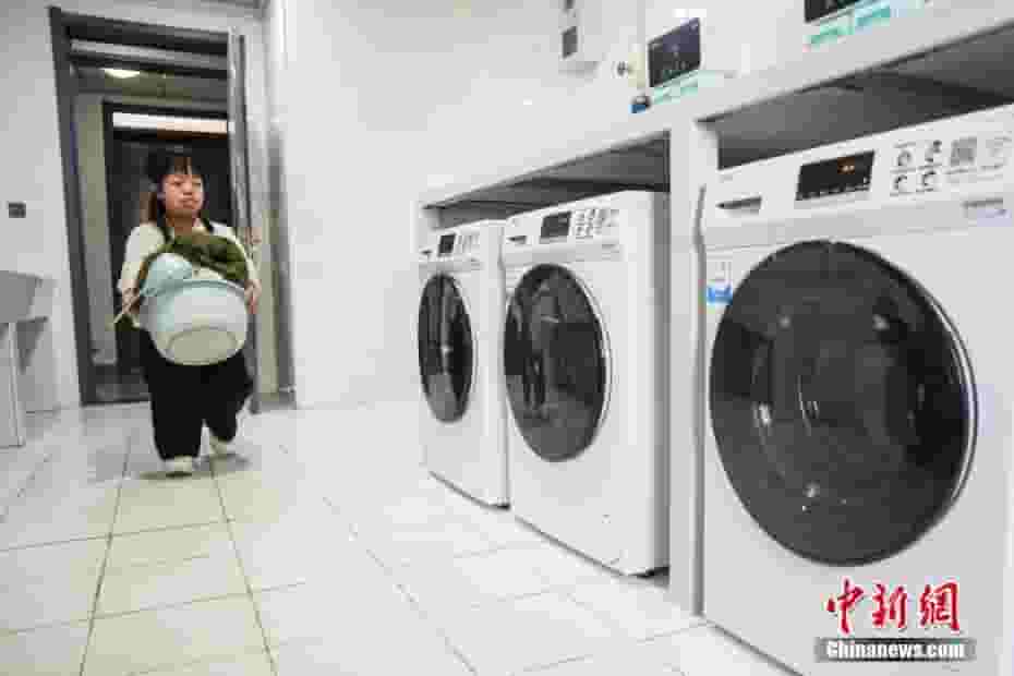 “袖珍女孩”翟君霞：以119厘米身高，追逐特教梦想之路