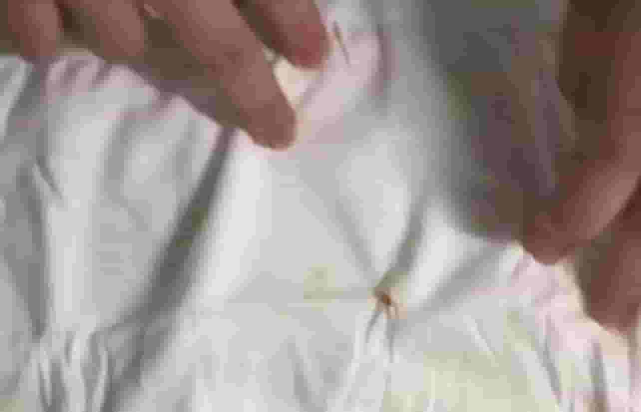 名创优品内裤未拆封现污渍?官方:已下架并全面复查供应链