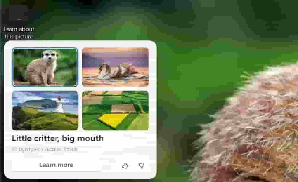 Win11壁纸新升级：Copilot AI带你深