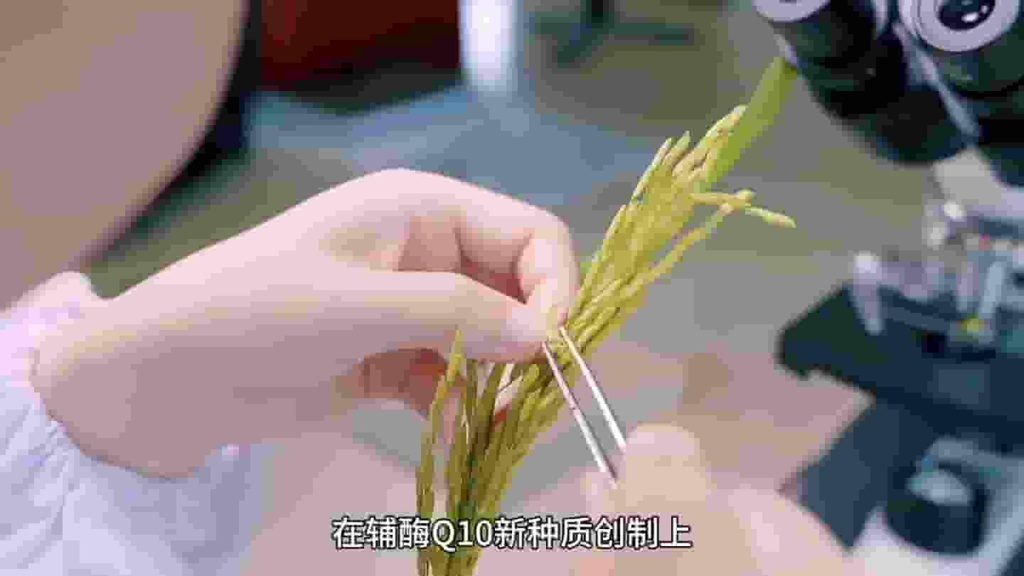 我国科学家突破！全球首例辅酶Q10合