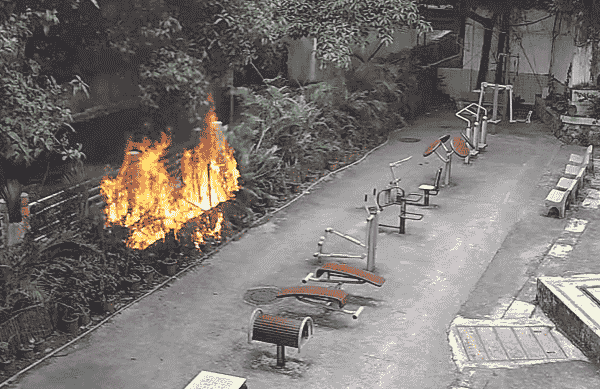 顺丰同城骑士华健：火场英勇救人，平凡