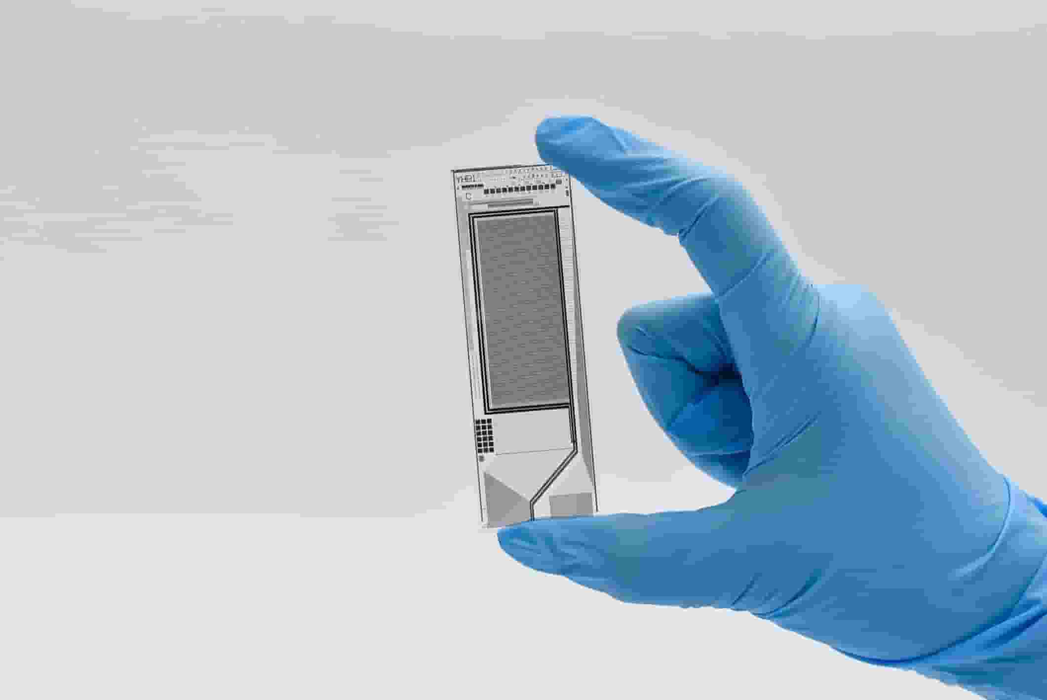 领挚科技A轮融资数千万，TFT半导体技术革新DNA合成领域