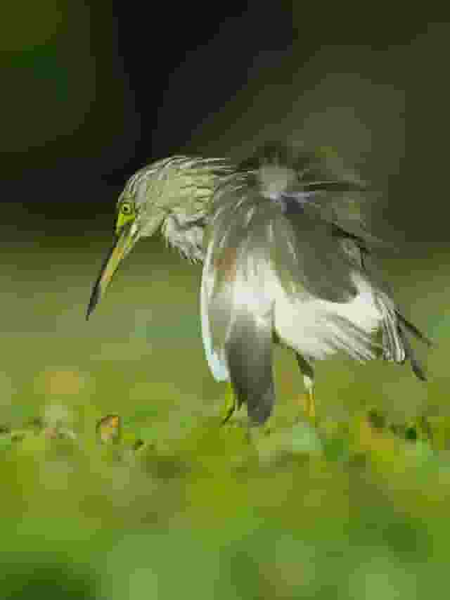 中画幅新体验！富士GFX100 II搭配GF5