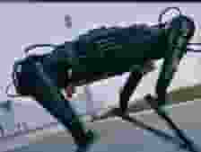 中国“黑豹”四足机器人，刷新全球速