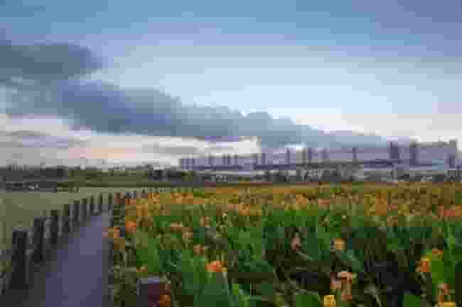 TCL科技CDP水安全获A-评级，ESG努力